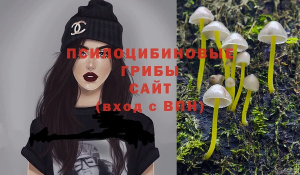 2c-b Алексин