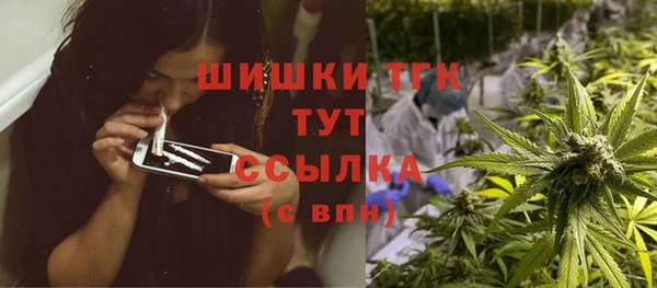 молекула духа Алексеевка