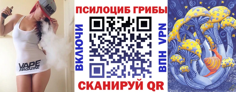 где продают   Кондопога  Псилоцибиновые грибы ЛСД 